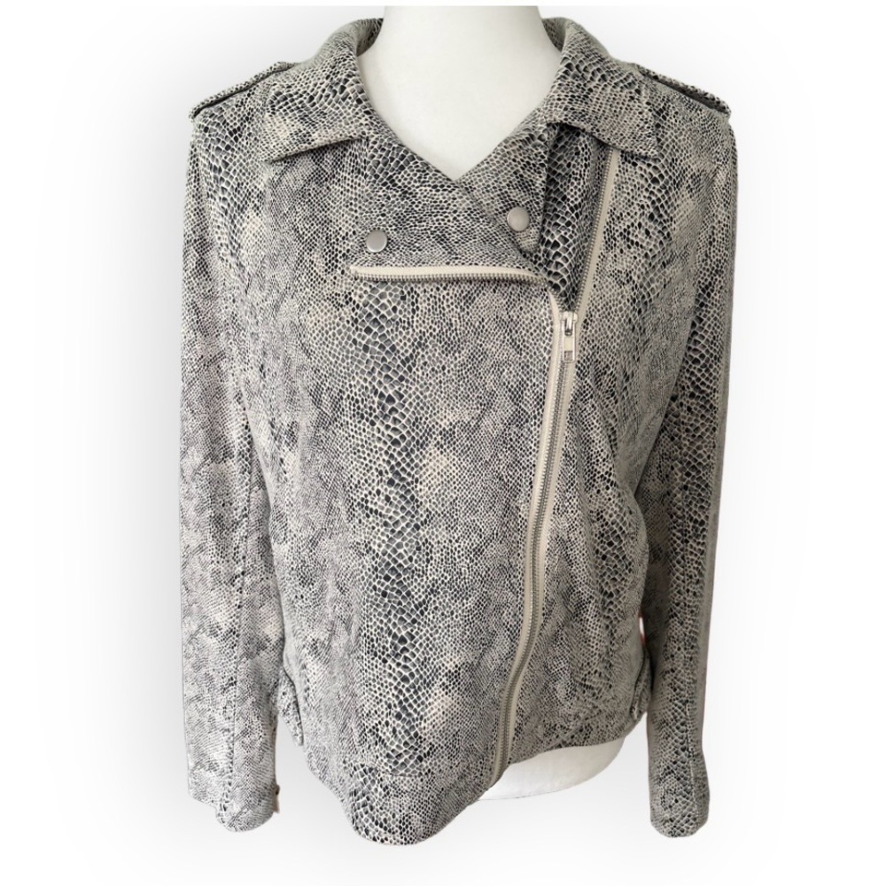 Skies Are Blue Snake Print Moto Jacket Size M Edgy Casual Rocker Chic Neutral